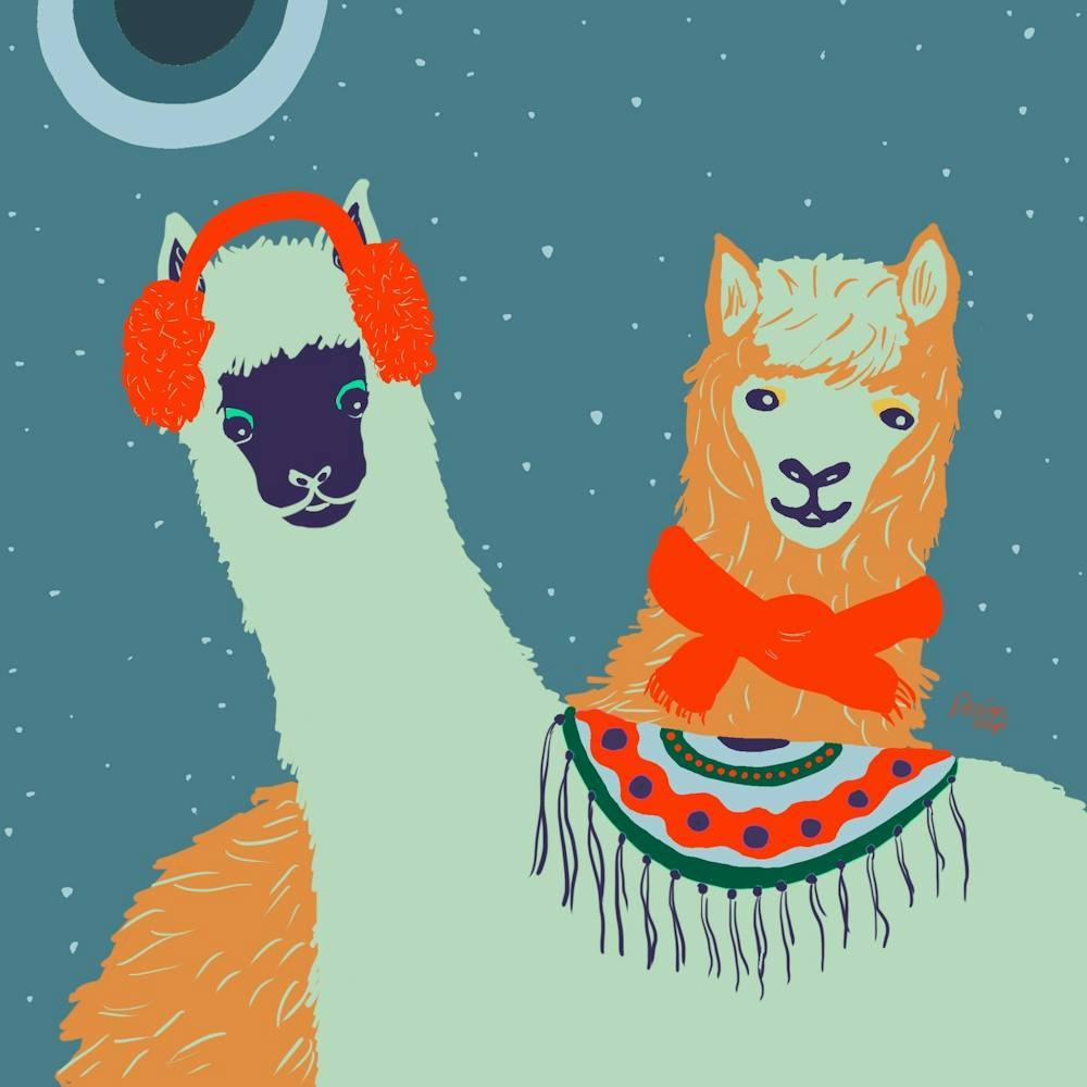 Winter Llamas