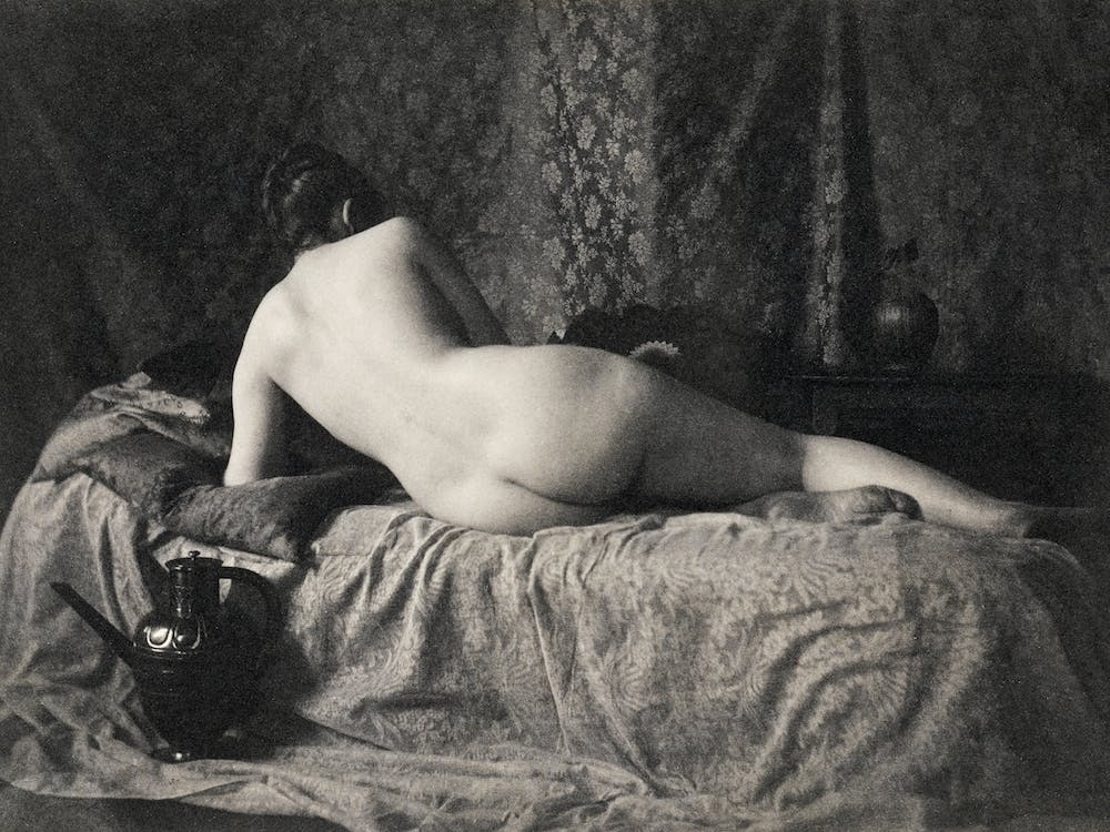 Female Nude From The Back