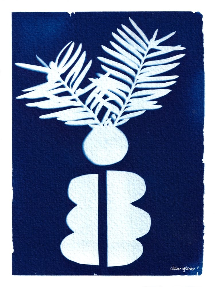 Blue Cyanotype Abstract Collage And Plants 4