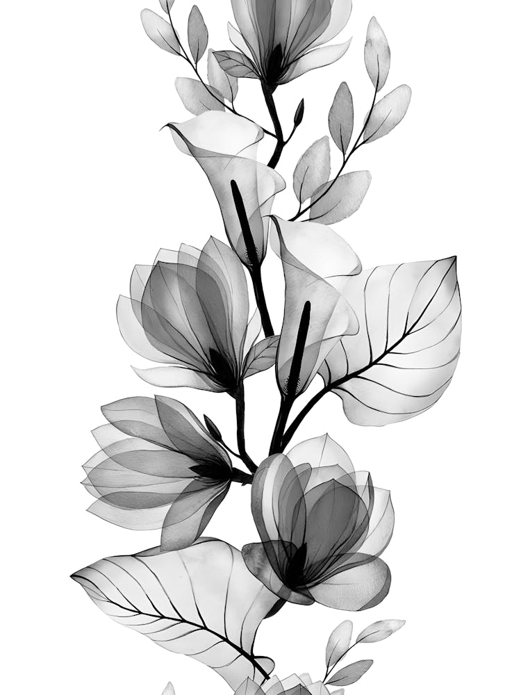 Black And White Flowers 24