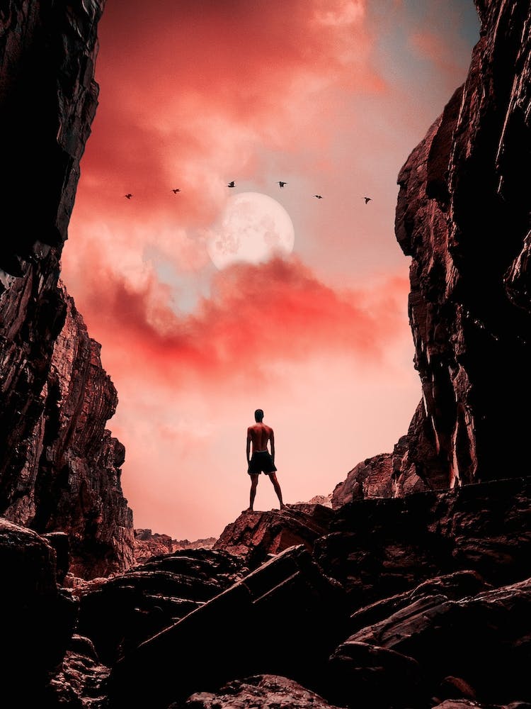 Looking To The Future