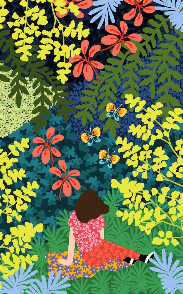 Entrer Dans La Jungle