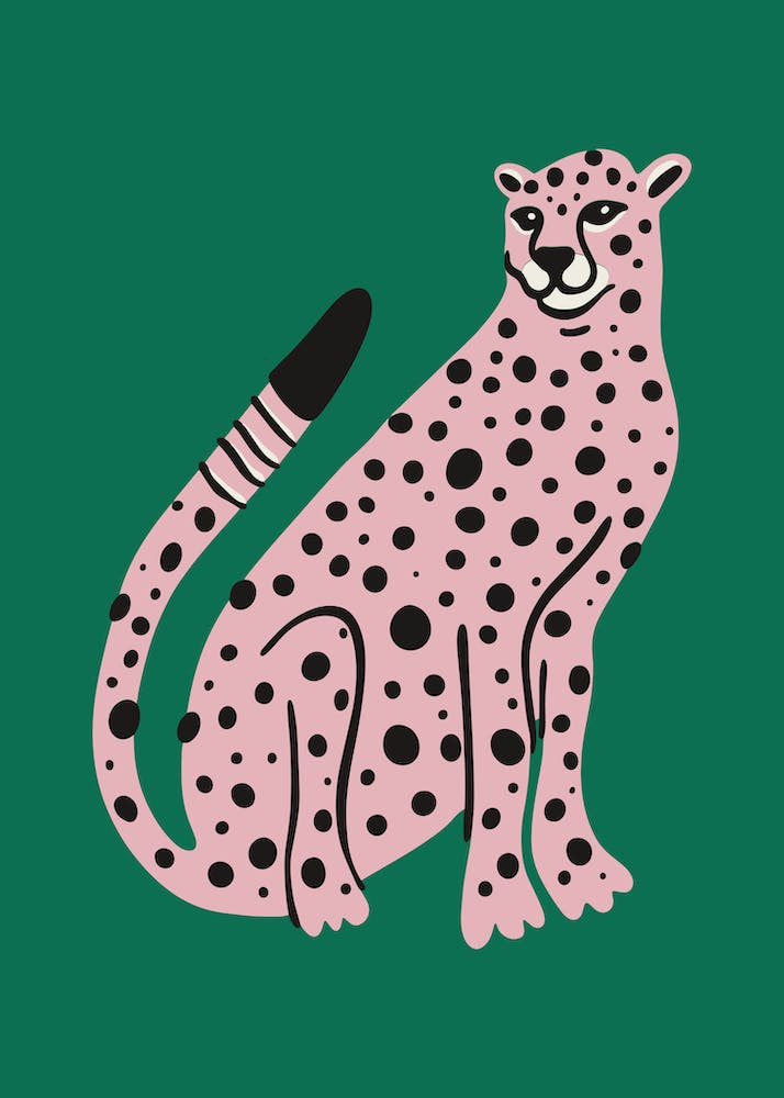Cheetah 1