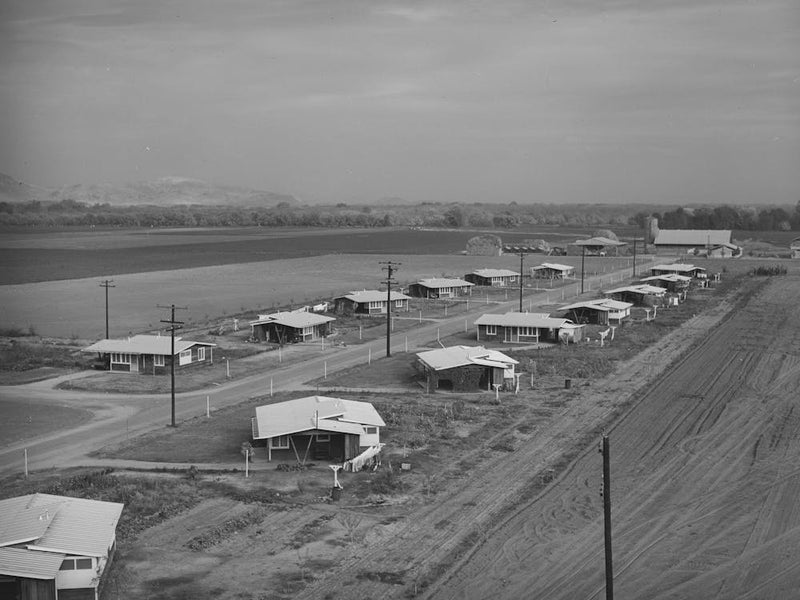 Untitled Photo, Possibly Related To General View Of Houses For Members Of Mineral King Cooperative Farm