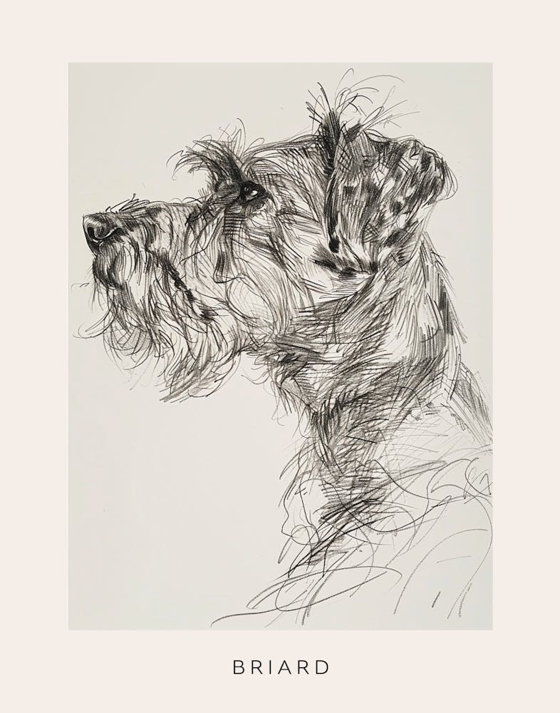 Briard Dog Line Sketch 2 Poster