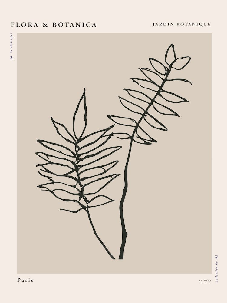 Flora botanica line no 02