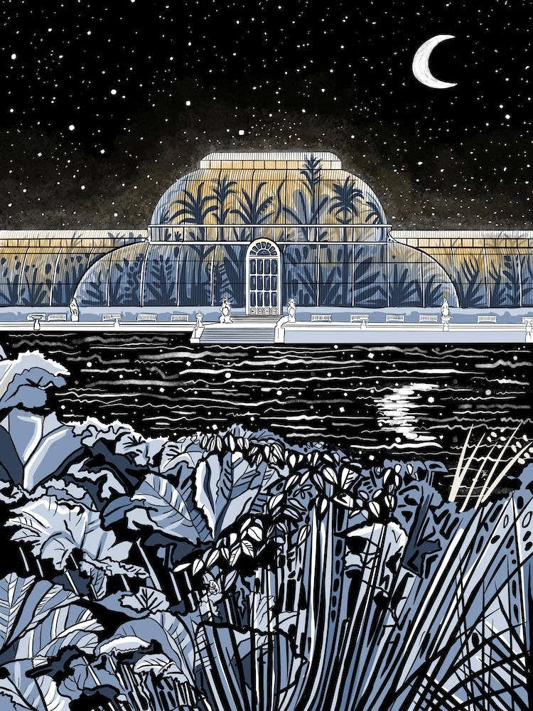 Kew Gardens Midnight Palm House