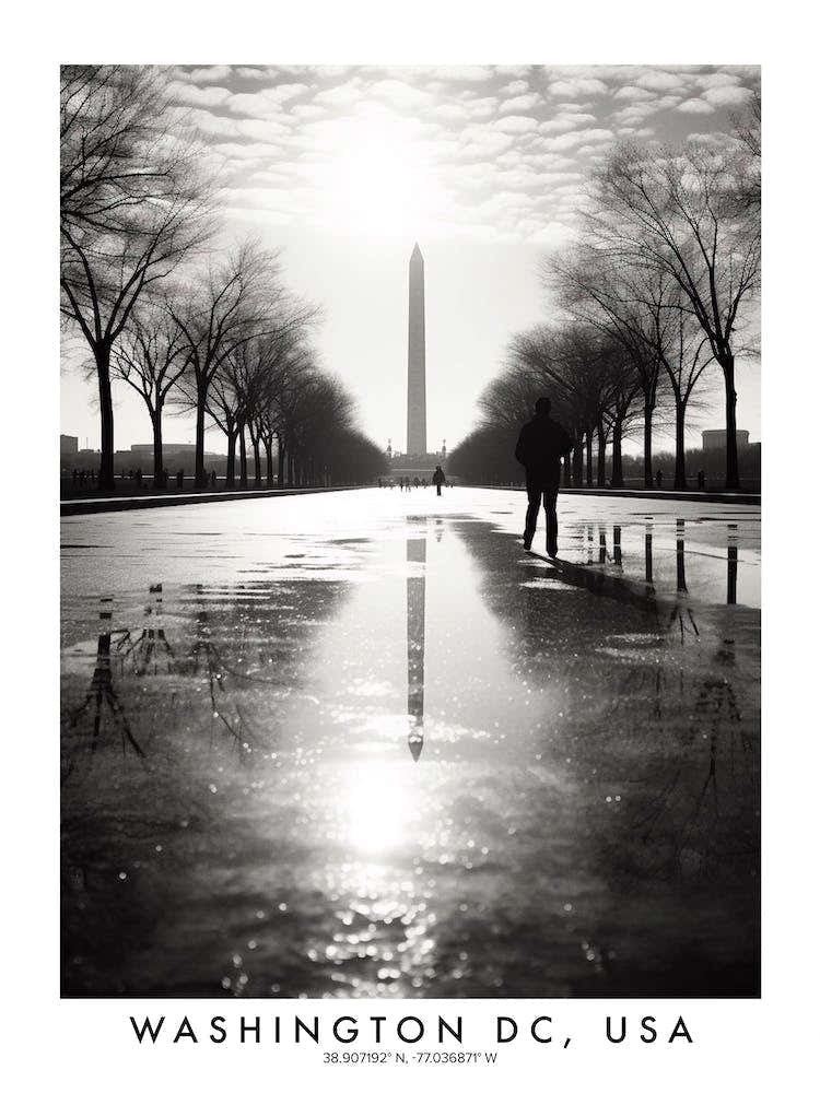 Poster Of Washington Dc, Usa, Black And White Analogue Photograph 3