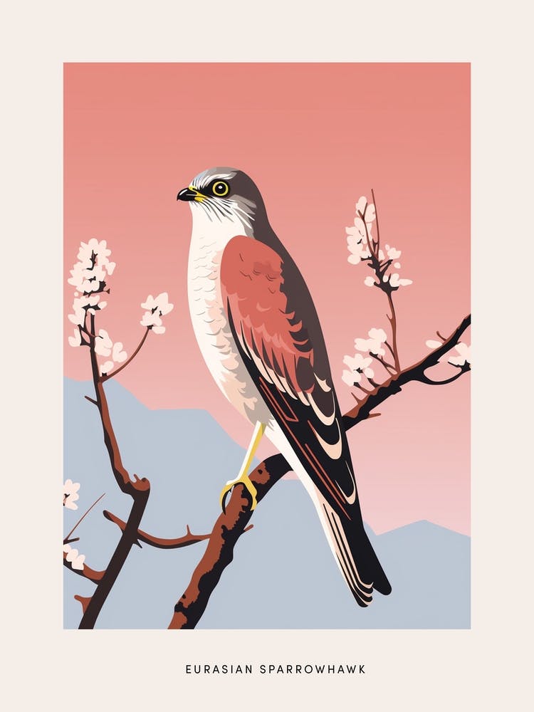 Minimalist Eurasian Sparrowhawk 1 Bird Poster