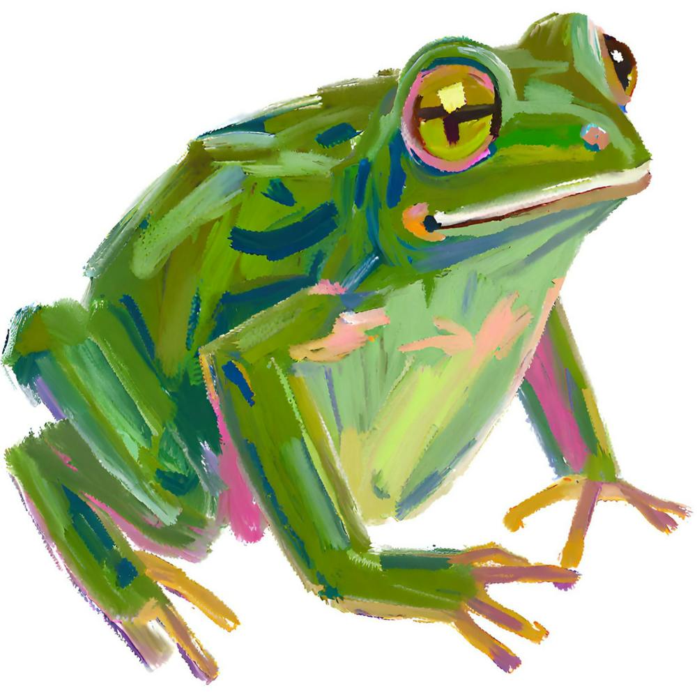 Green Tree Frog 08