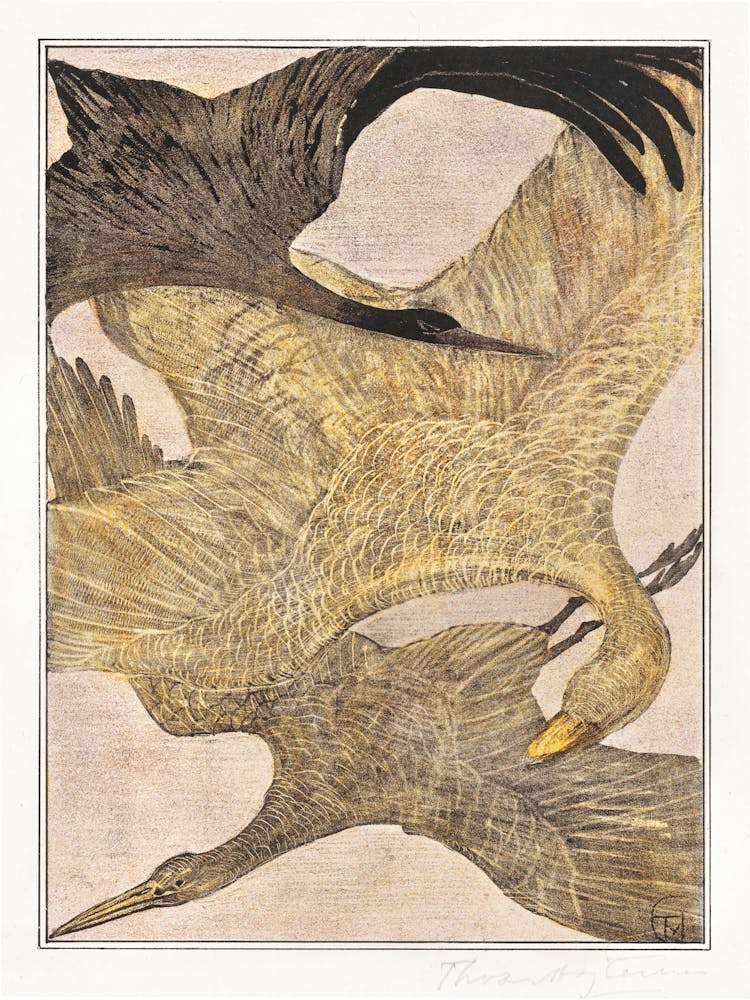 Three Flying Birds, Theo Van Hoytema
