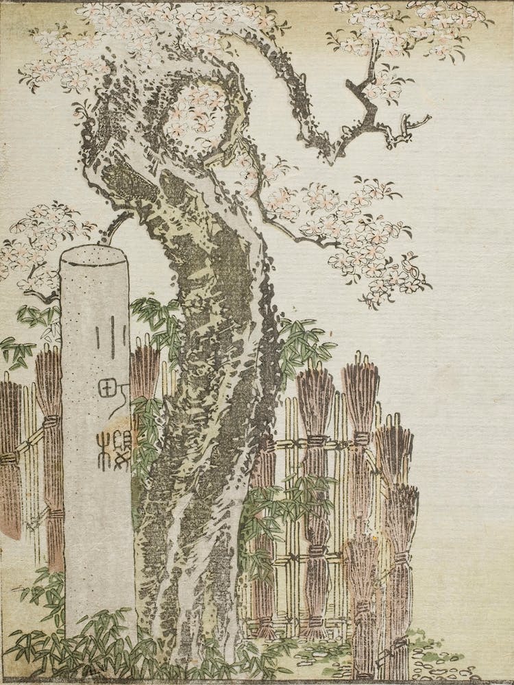 Hokusai's Woodblock Printss, Katsushika Hokusai