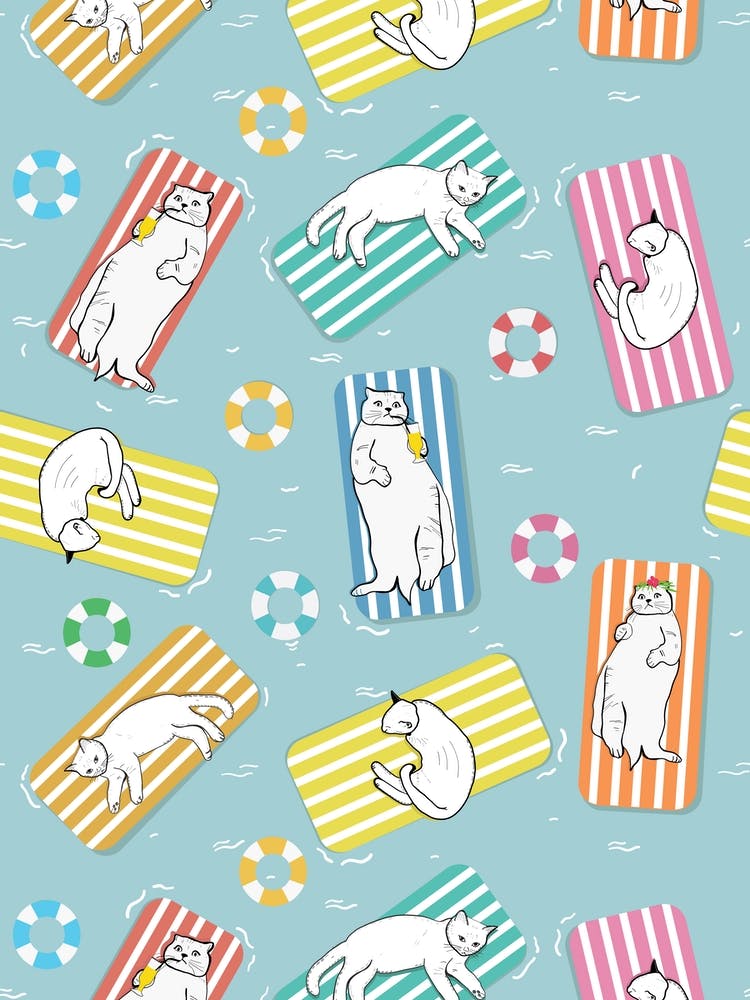 Funny Cats Sunbathing 