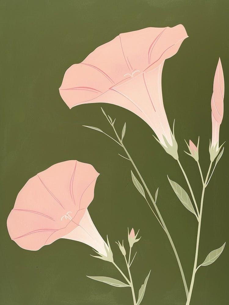 Pink & Green Morning Glory 3