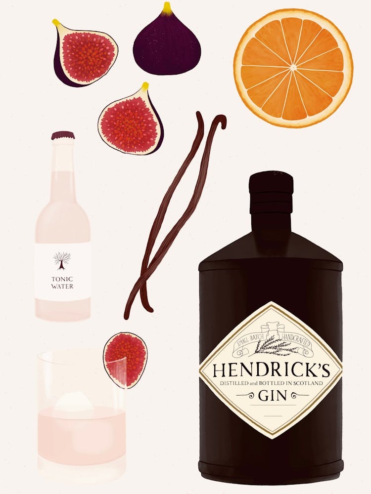 Hendrick'S Gin Illustration