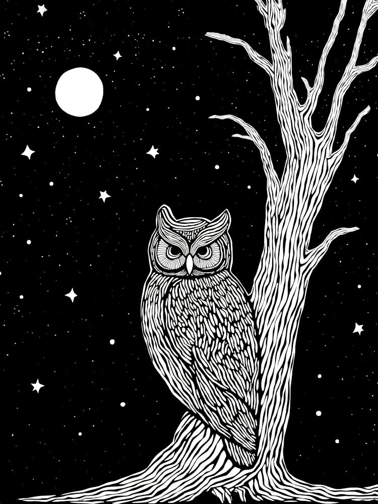 Owl In The Tree