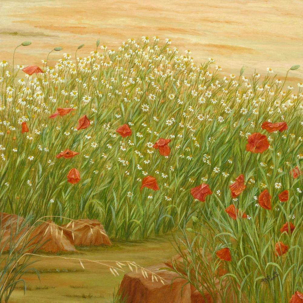 Daisies And Poppies Square