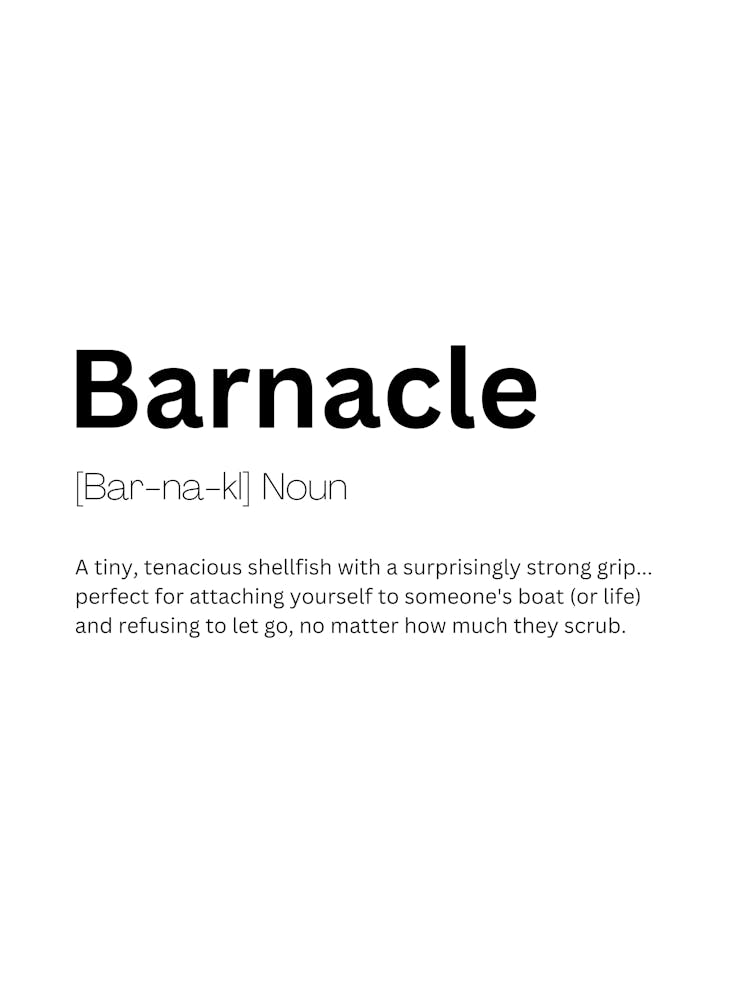 Barnacle Definition Meaning