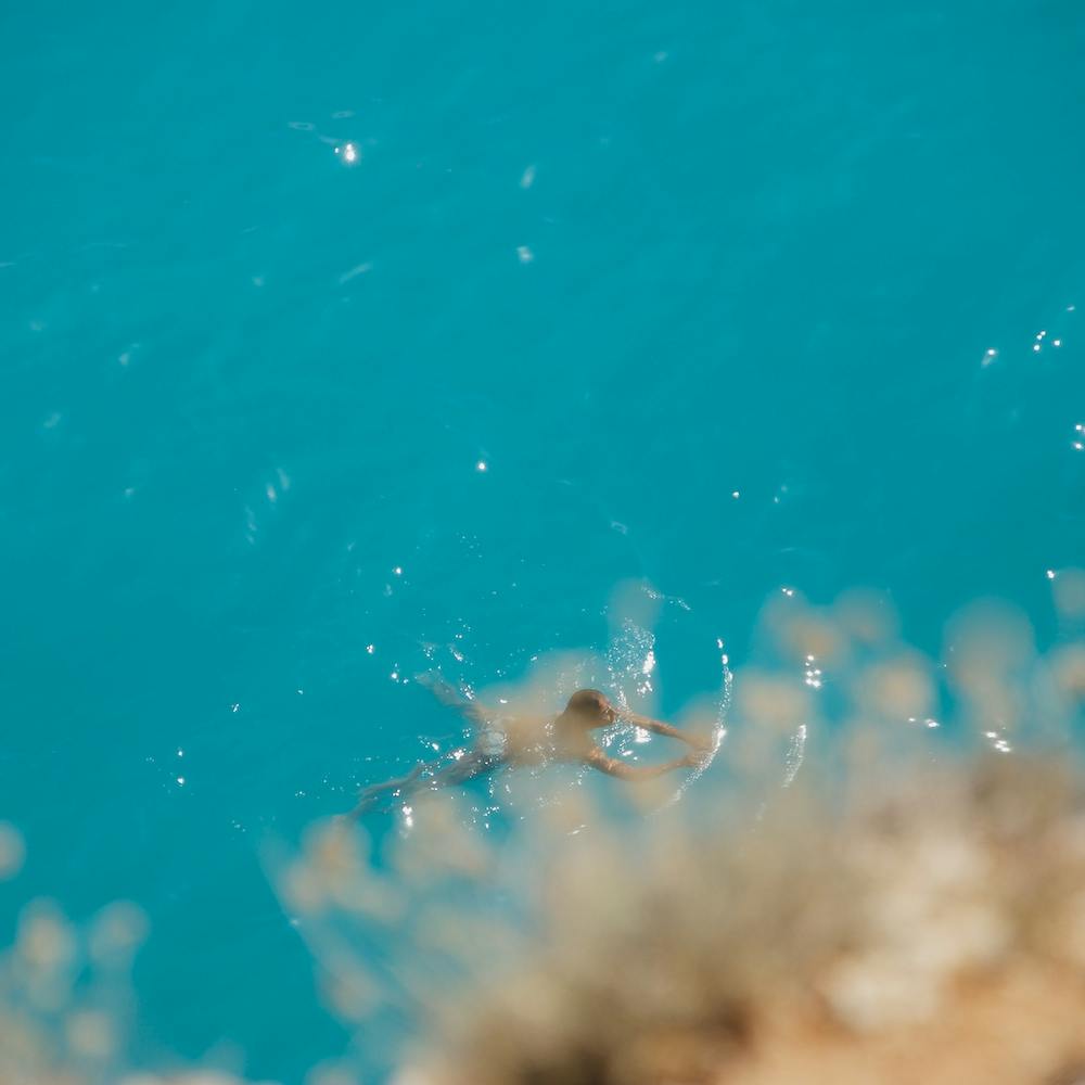 The Explorer | The Swimmers Series