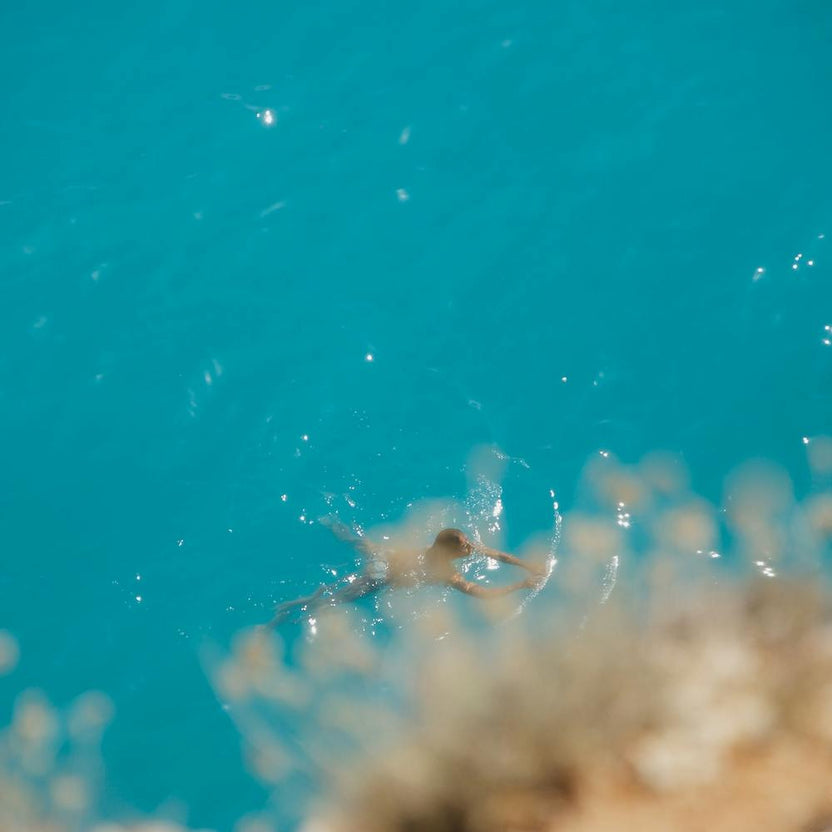 The Explorer | The Swimmers Series