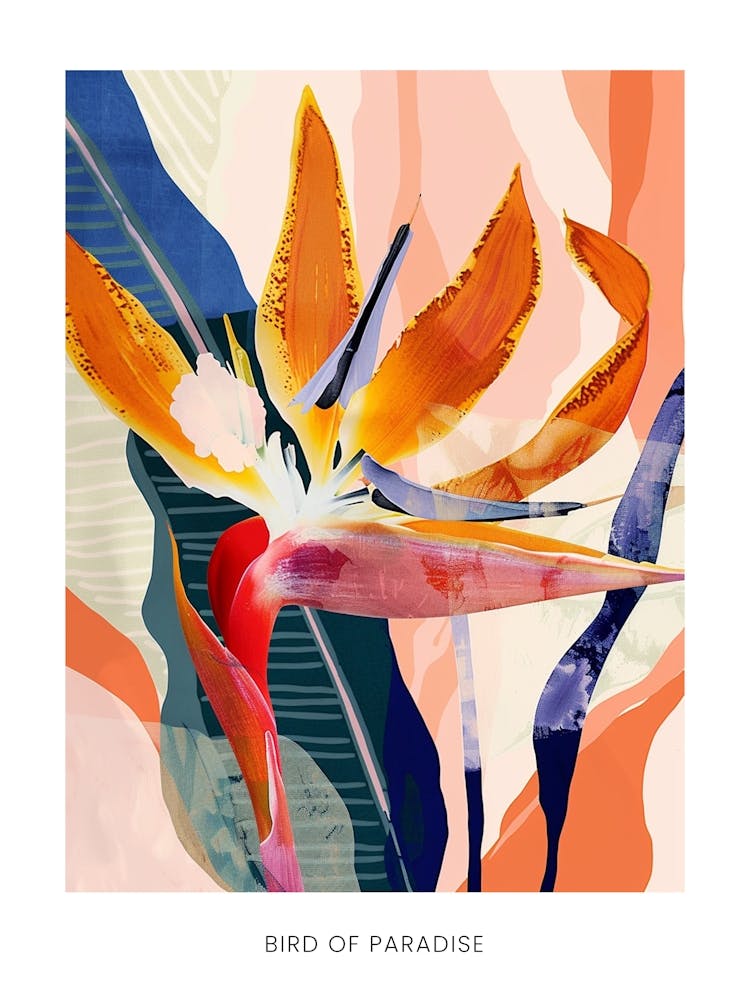 Colourful Flower Illustration Poster Bird Of Paradise 1