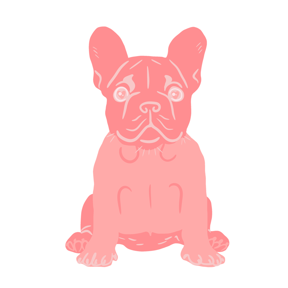 French Bulldog pastel pink bold playful frenchie puppy portrait
