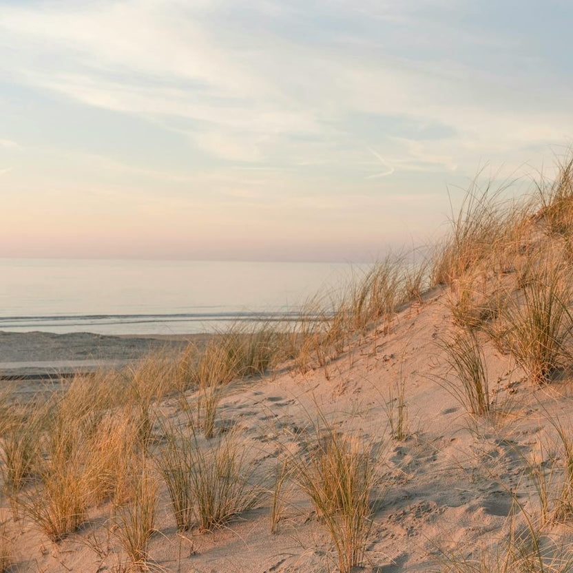 Tranquil Beach Sunset Wijk Aan Zee - Square