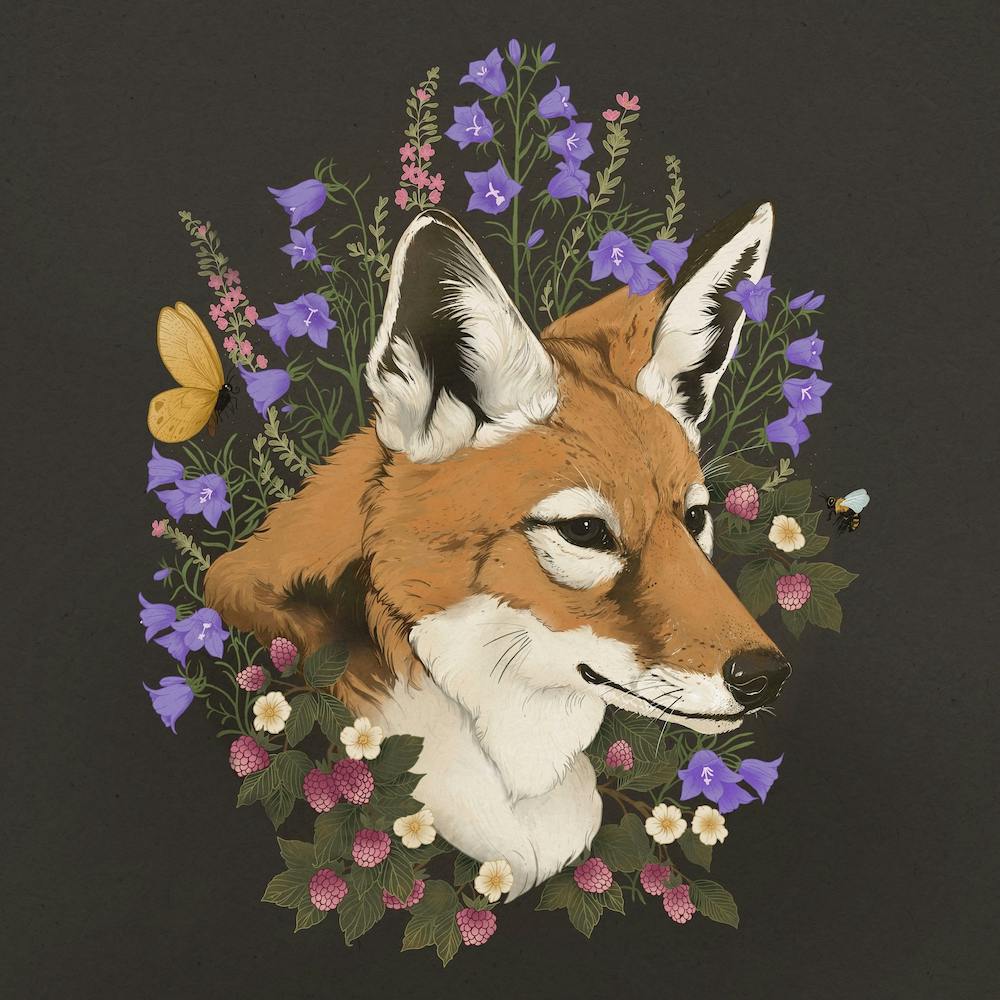 Floral Fox Square