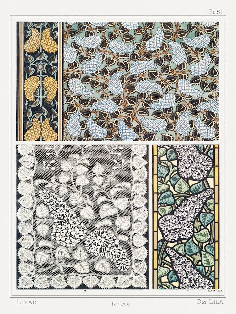 Lilac From The Plant And Its Ornamental Applications (1896), Maurice Pillard Verneuil 1