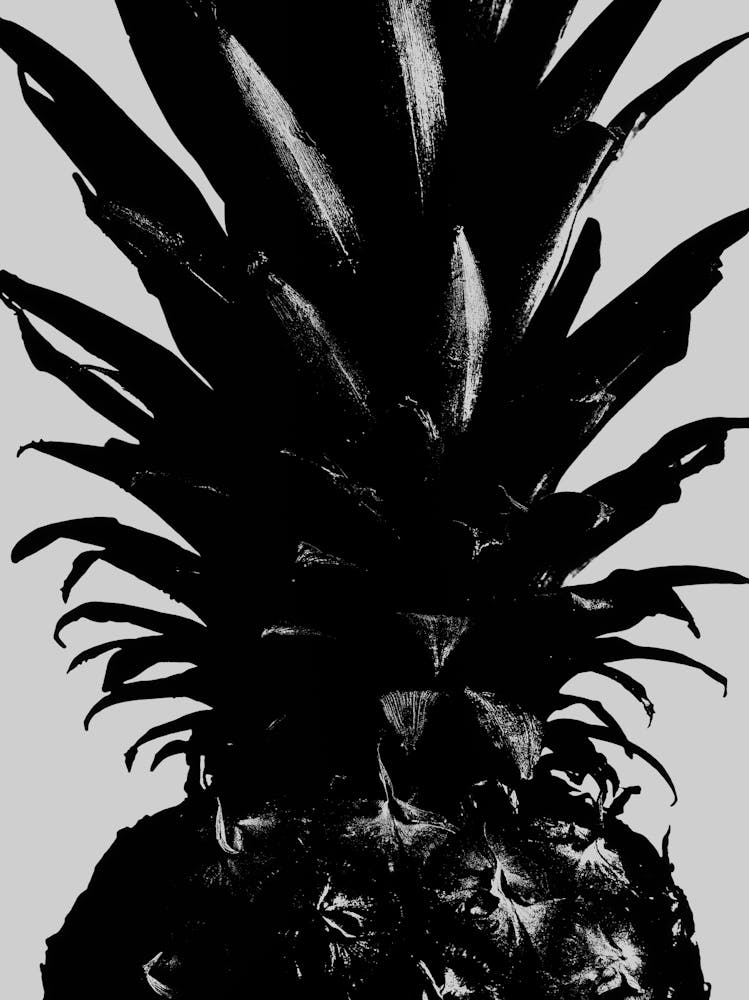 Black and White Graphic Pineapple_2156979