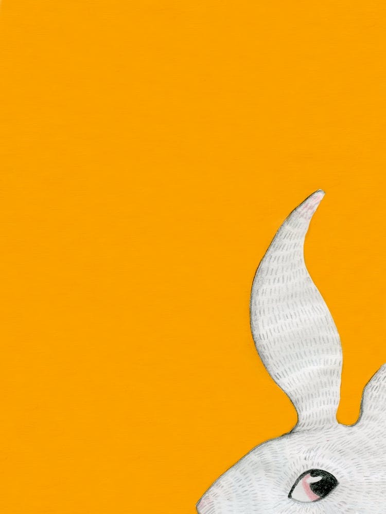 Sneaky Little Rabbit