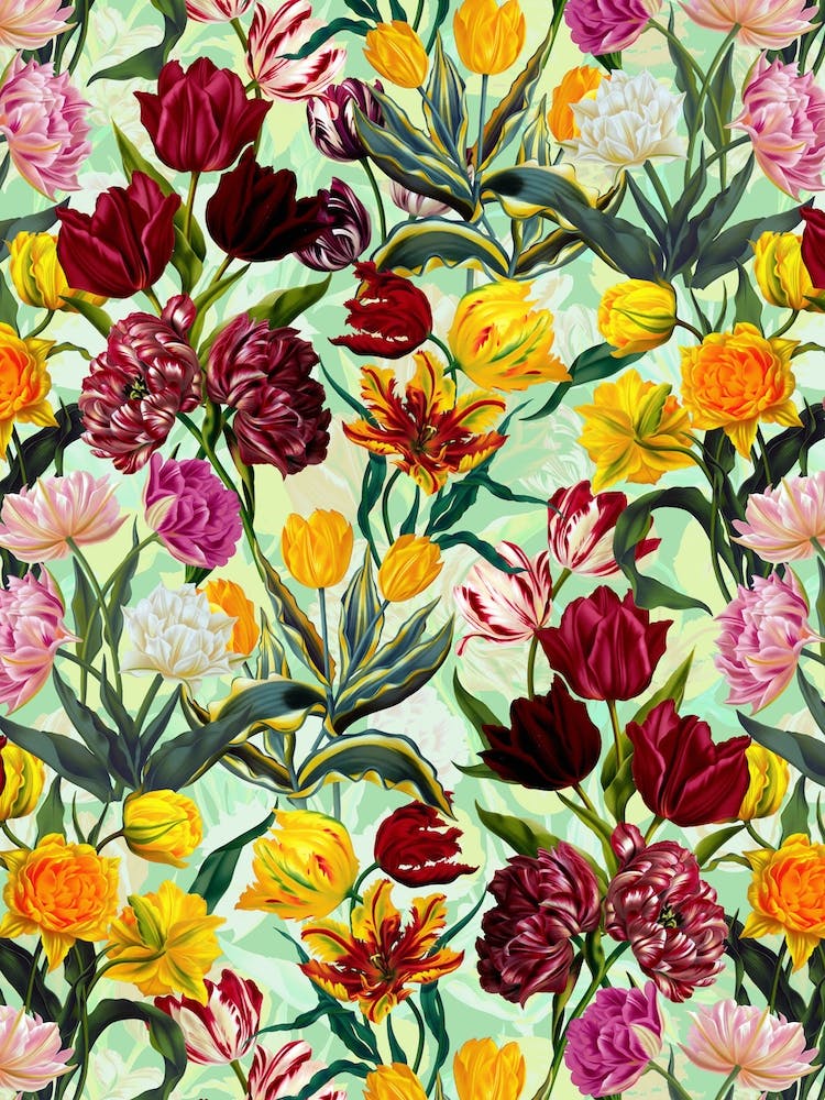 Summer Dreams   Tulips