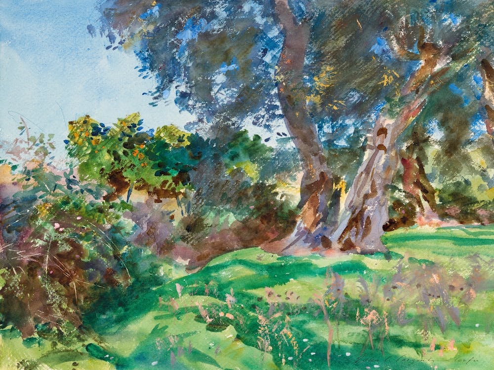 Olive Trees, Corfu, John Singer Sargent