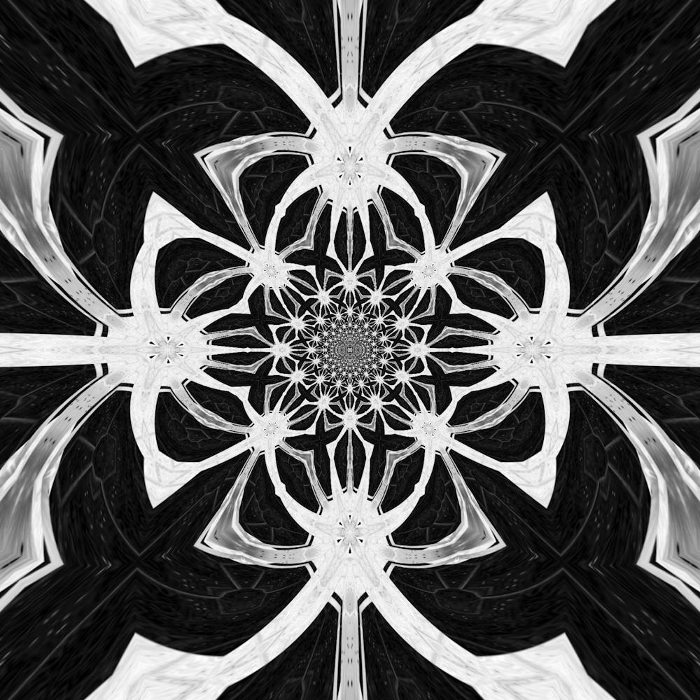 Black And White Abstract 2