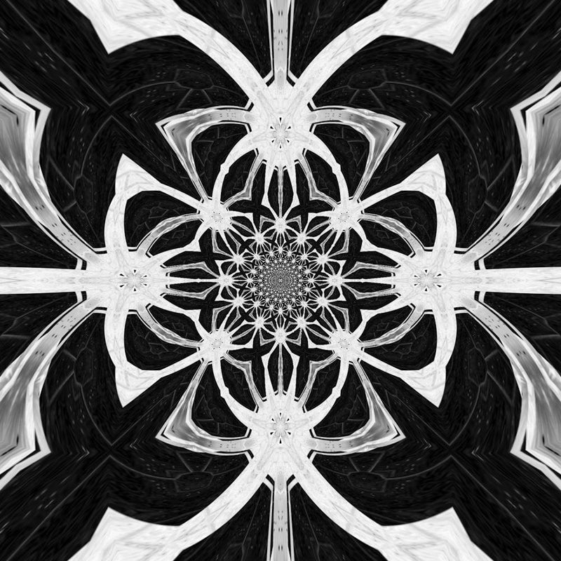 Black And White Abstract 2