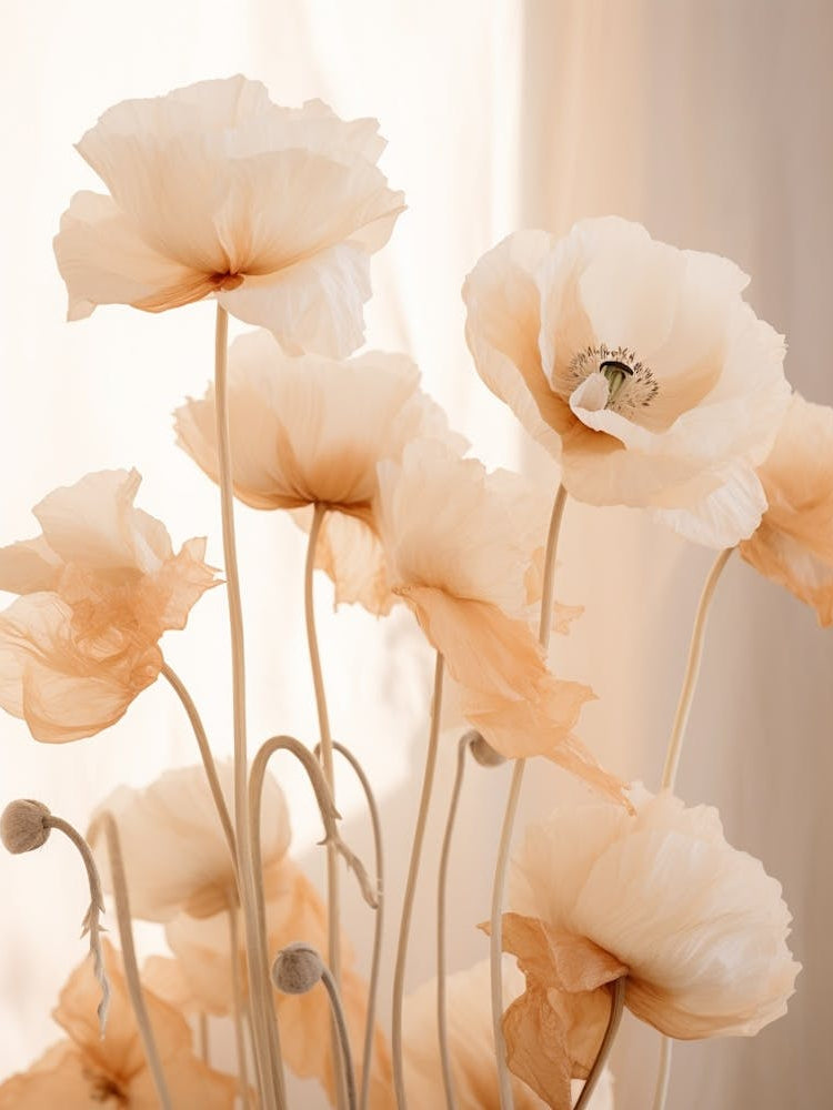 Boho Dried Flowers Poppy 6