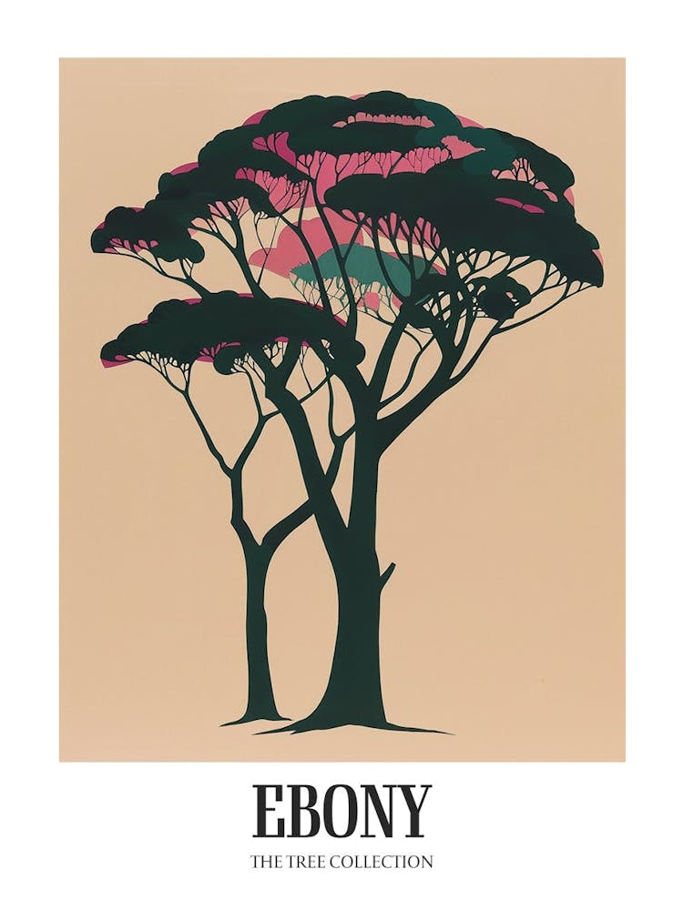 Ebony Tree Colourful Illustration 1 Poster