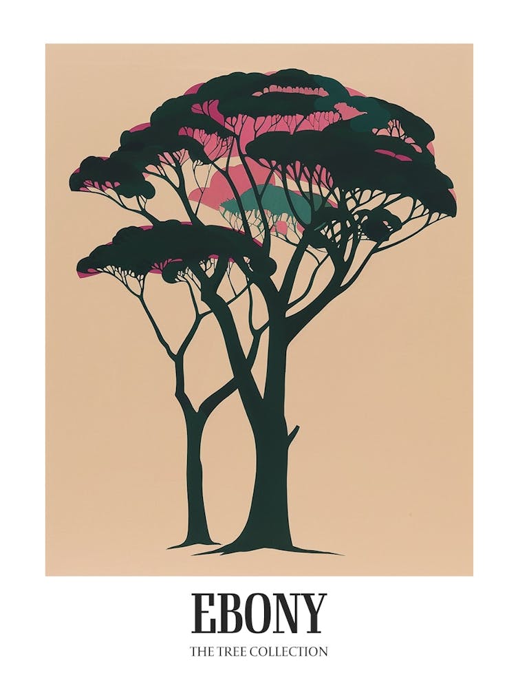 Ebony Tree Colourful Illustration 1 Poster
