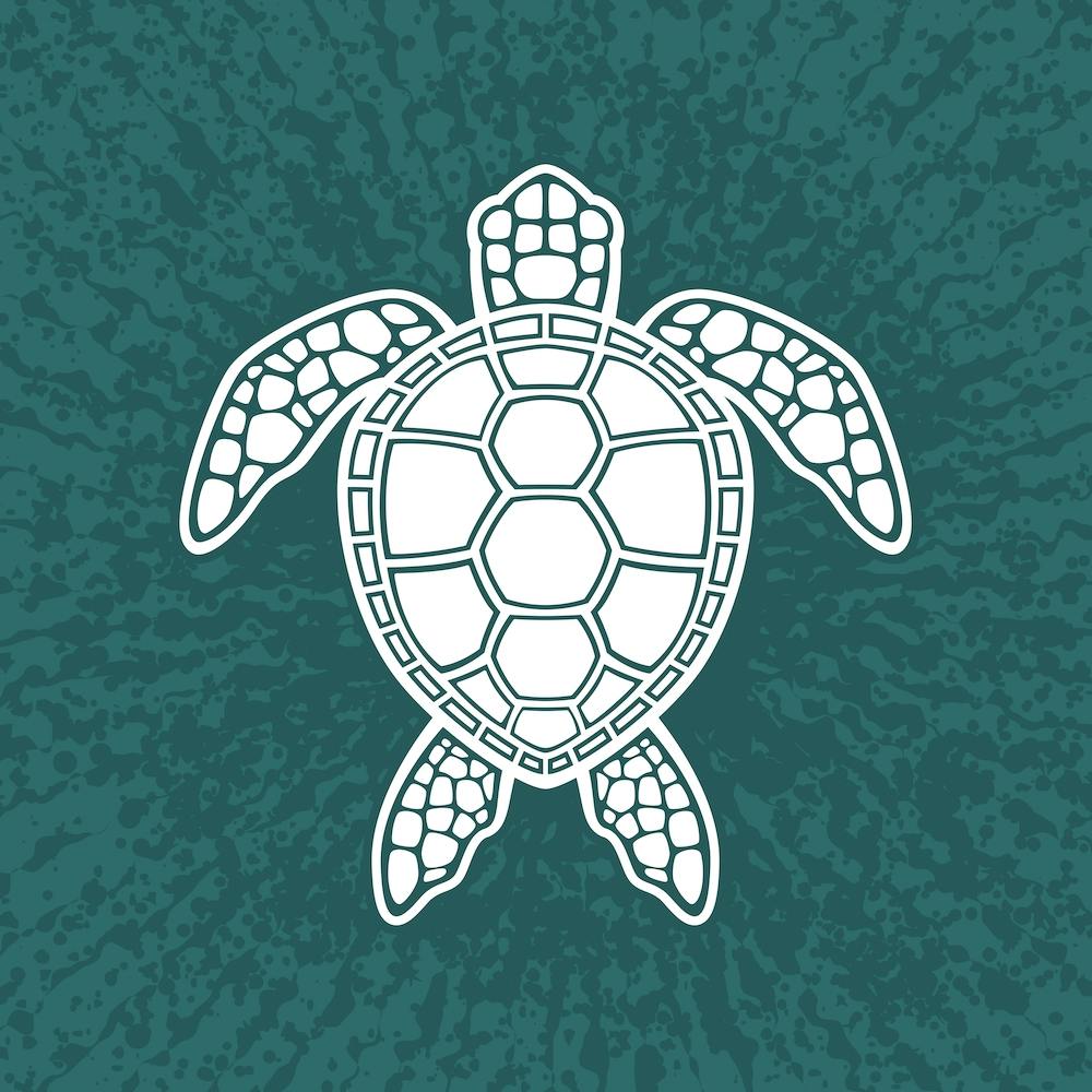 Sea Turtle Design in White