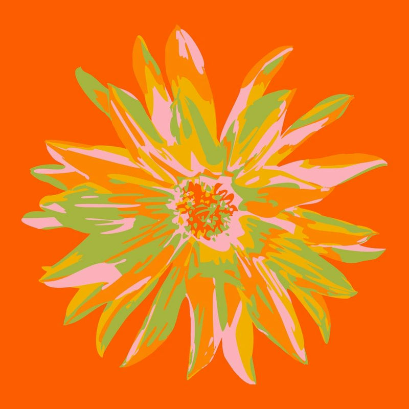 DAHLIA BURSTS Single Abstract Blooming Floral Summer Bright Flower in Orange Yellow Blush Lime Green on Orange