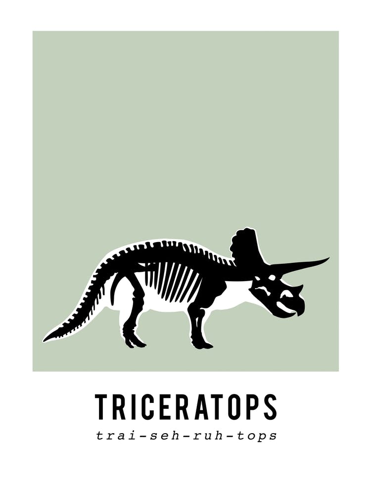 Triceratops Dinosaur Skeleton Fossil