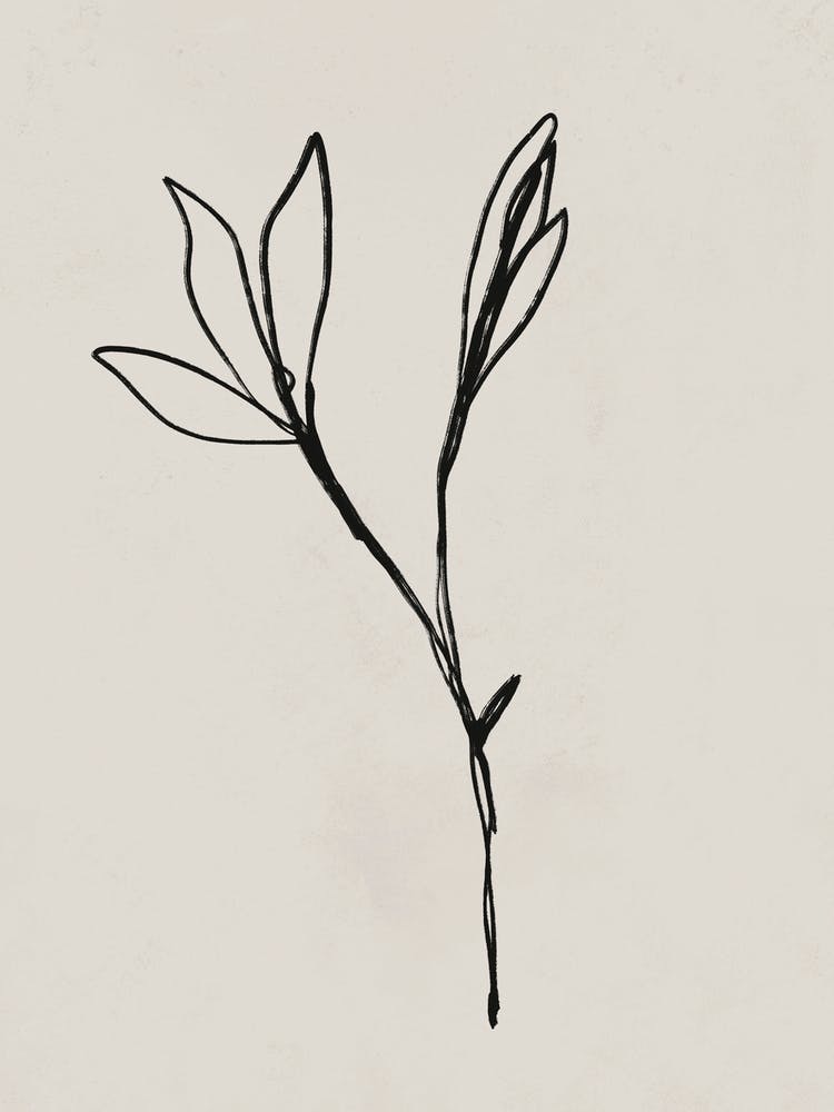 Ink Sketch 4