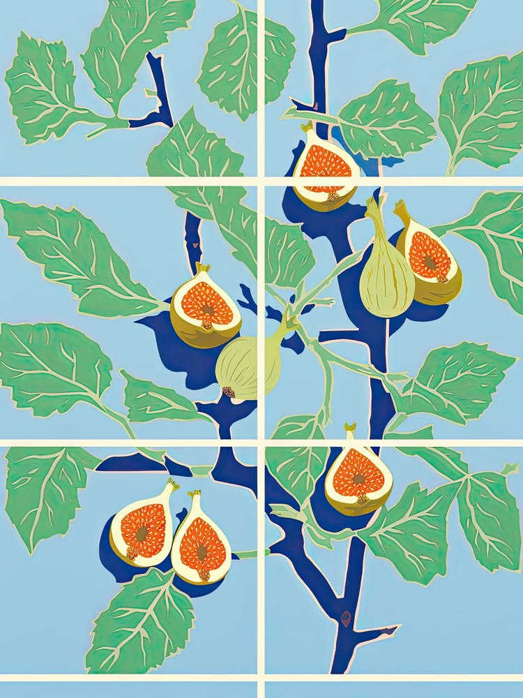 Figs Illustration 4