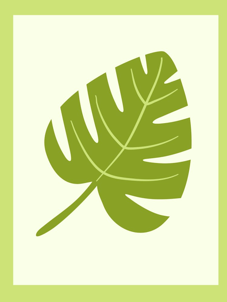 Monstera Leaf