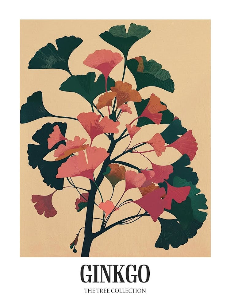 Ginkgo Tree Colourful Illustration 3 Poster