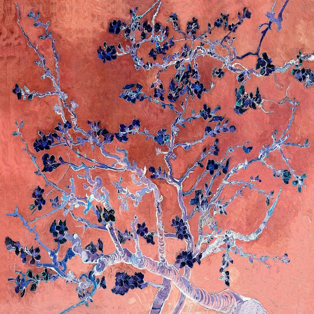 Vincent van Gogh Almond Blossom 1