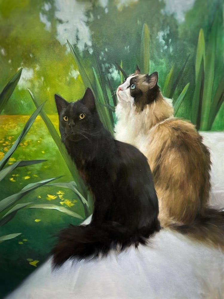 Two Cats 1