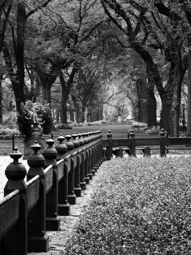 Central Park - New York USA