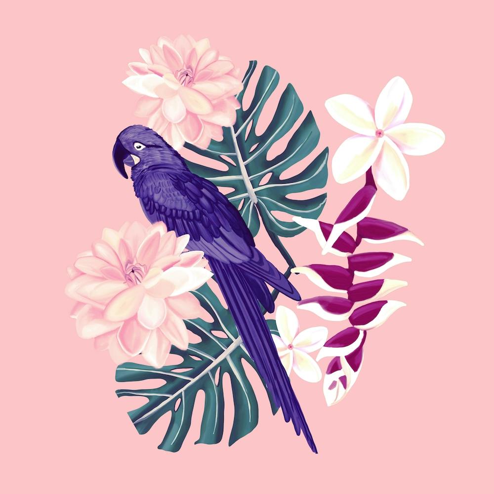 Tropical Monstera And Bird Square
