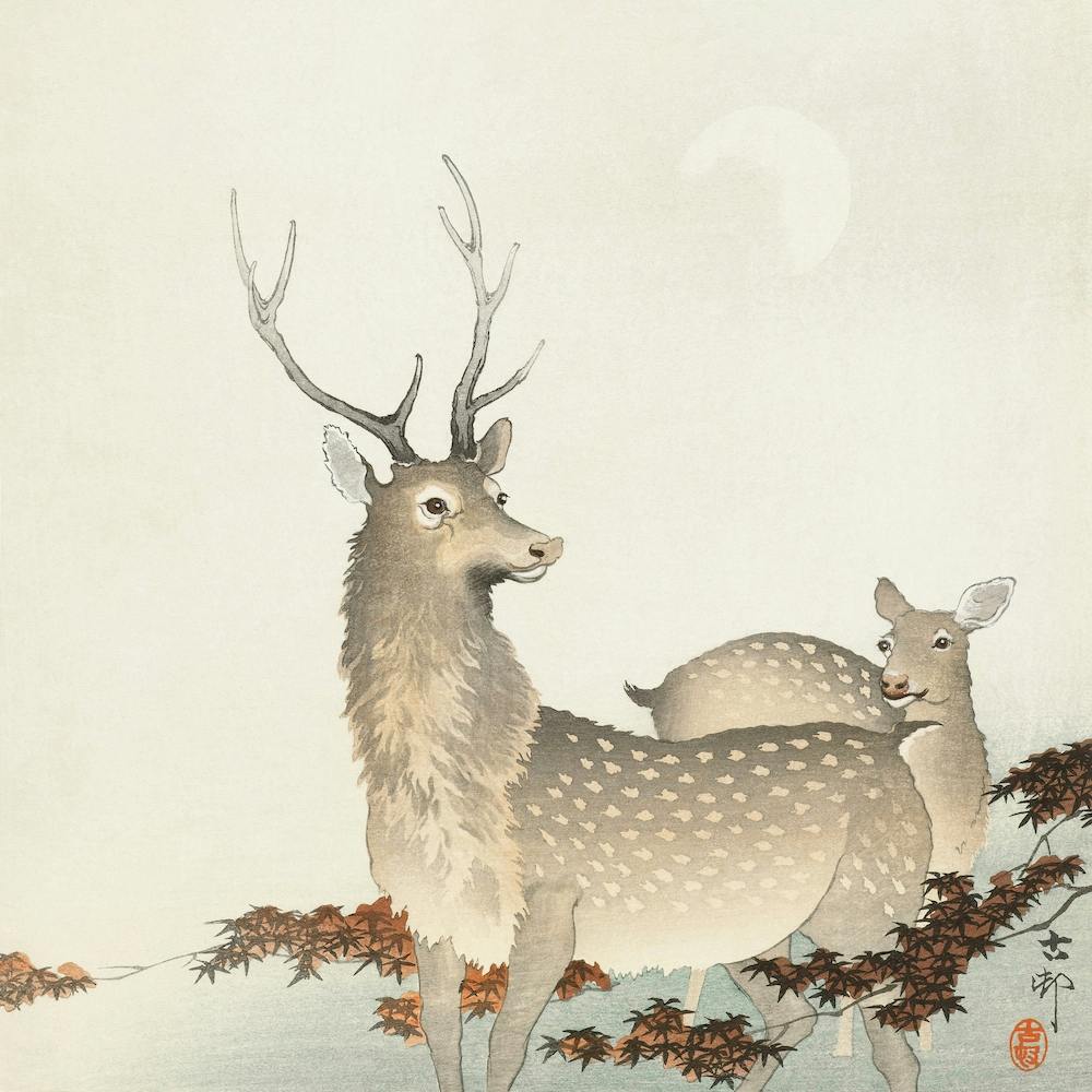 Couple Of Deers, Ohara Koson Vintage Japanese